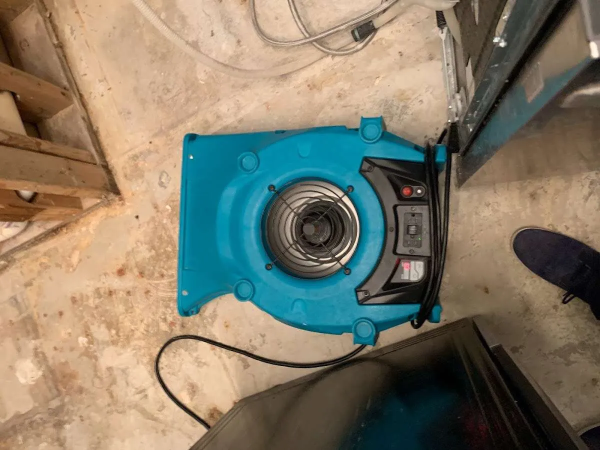 Air mover drying equipment for Mold Remediation & Removal in West Samoset